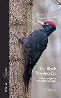 The Black Woodpecker: A Monograph on Dryocopus Martius