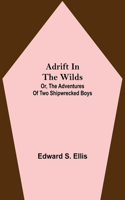 Adrift in the Wilds; Or, The Adventures of Two Shipwrecked Boys