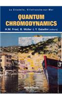 Quantum Chromodynamics - Proceedings of the Fifth Workshop