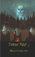 Twisted valley 2