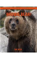 Brown Bear! An Educational Children's Book about Brown Bear with Fun Facts