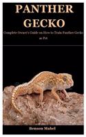 Panther Gecko: Complete Owner's Guide on How to Train Panther Gecko as Pet