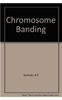 Chromosome Banding