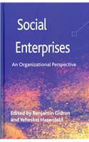 Social Enterprises