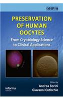 Preservation of Human Oocytes