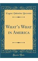 What's What in America (Classic Reprint)