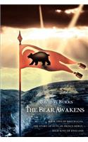 Bear Awakens