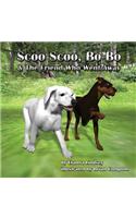 Scoo Scoo, Bo Bo and the Friend who went away