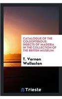 Catalogue of the Coleopterous Insects of Madeira in the Collection of the British Museum