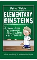 Elementary Einsteins