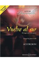 Vuelvo Al Sur