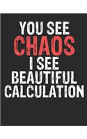 You See Chaos I see Beautiful Calculation