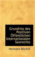 Grundriss Des Positiven Offentlichen Internationalen Seerechts