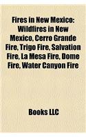 Fires in New Mexico