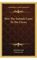 How The Animals Came To The Circus