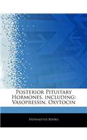 Articles on Posterior Pituitary Hormones, Including: Vasopressin, Oxytocin(English)