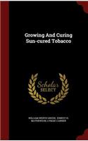 Growing And Curing Sun-cured Tobacco