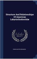 Structure And Relationships Of American Labyrinthodontidæ