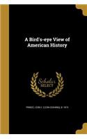 A Bird's-eye View of American History