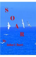 Soar