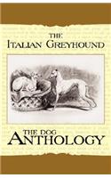 Italian Greyhound: A Dog Anthology: A Dog Anthology