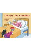 Flowers for Grandma