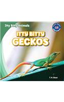 Itty Bitty Geckos