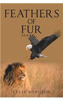 Feathers of Fur