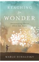 Reaching for Wonder