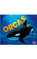 Orcas