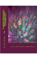 A textbook of Biochemistry - Nucleic acid, Proteins & Carbohydrates