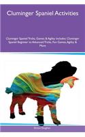 Cluminger Spaniel Activities Cluminger Spaniel Tricks, Games & Agility Includes