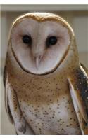 Common Barn Owl Journal