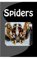 Spiders (Journal / Notebook)
