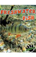 Freshwater Fish