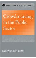 Crowdsourcing in the Public Sector