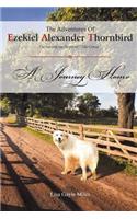 The Adventures of Ezekiel Alexander Thornbird