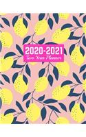 2020-2021 Two Year Planner: Handy Calendar Year Vision Planner (January 2020 - December 2021) - Monthly and Weekly Schedule Organizer and Journal - Art Cover 00023190