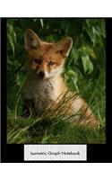 Isometric Graph Notebook: Foxy Fox Isometric 3D Graph Paper Notebook - 8.5 X 11 - 150 Pages (75 Sheets). Glossy Cover.