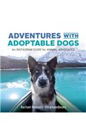 Adventures with Adoptable Dogs