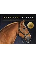 Beautiful Horses