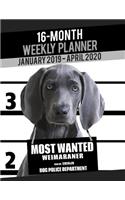 2019-2020 Weekly Planner - Most Wanted Weimaraner: Daily Diary Monthly Yearly Calendar Large 8.5 X 11 Schedule Journal Organizer Notebook Appointment(38 Dog Planners 2019-2020)