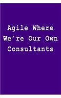 Agile Where We're Our Own Consultants: Blank Lined Journal