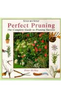 Perfect Pruning (Step-by-Step)