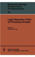 LIGHT REACTION PATH OF PHOTOSYNTHESIS