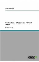 Das Kantische Erhabene bei Adalbert Stifter