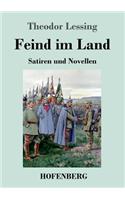 Feind im Land: Satiren und Novellen
