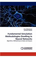 Fundamental Simulation Methodologies Dwelling in Neural Networks