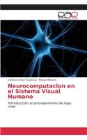 Neurocomputacion en el Sistema Visual Humano