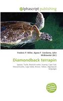 Diamondback Terrapin